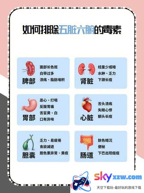 大爷帮你排毒：身体调理的一种说法